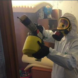 Уничтожение клопов в квартире. Вытегра